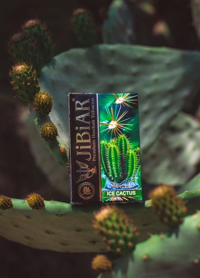 JiBiAr - Ice Cactus (50g)
