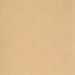 Шкурка DipGrip Clear c перфорацией