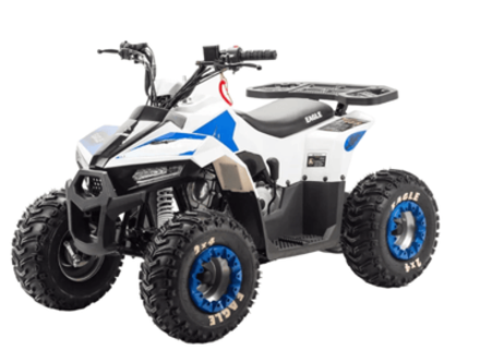 Квадроцикл MOTOLAND 110 EAGLE (2021 Г.)