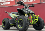 Квадроцикл PROMAX RAPTOR 300 AIR Monster