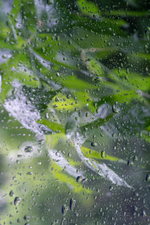 Дизайнерские обои Wall Street Frame-2019