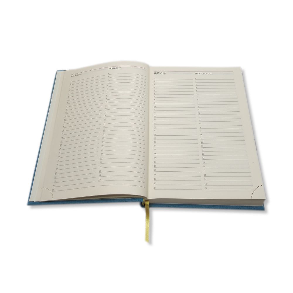 Ежедневник Lediberg FLASH Серый