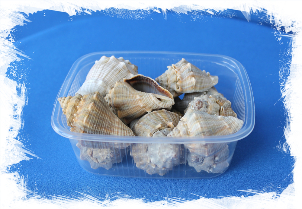 Волема муристика, 3-6см, 100гр, 10шт