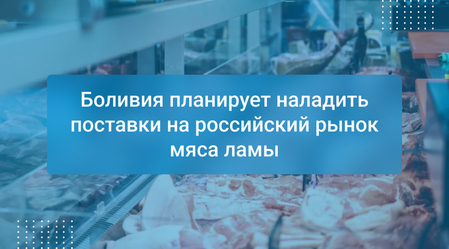 Боливия планирует наладить поставки на российский рынок мяса ламы