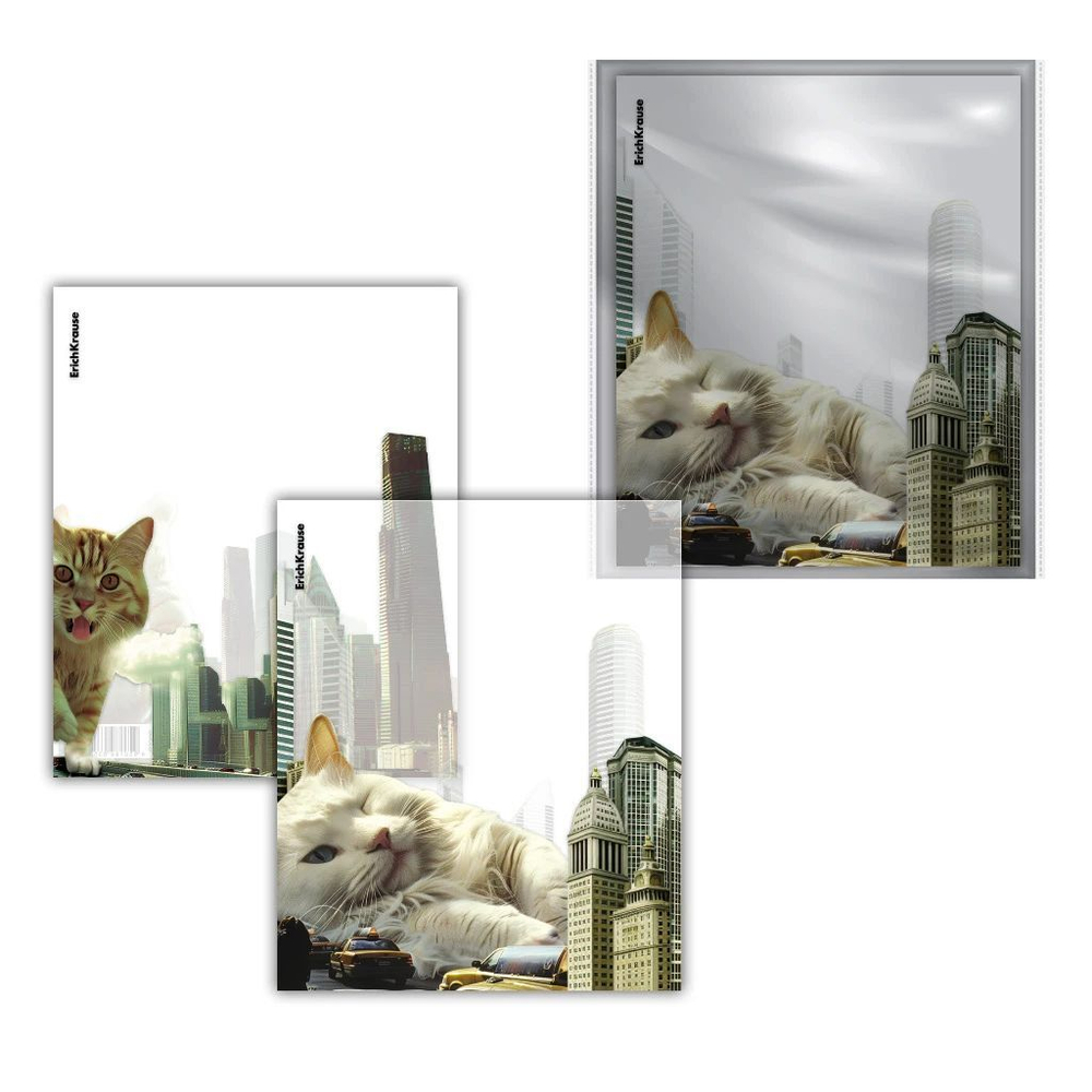 Набор обложек для тетрадей и дневн. (212х347мм), 80мкм, Big City Cats (12шт)