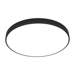 Накладной светильник Arte Lamp A2673PL-1BK