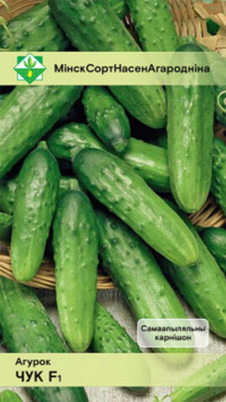 Огурец "Чук F1" 7шт, Молдова.