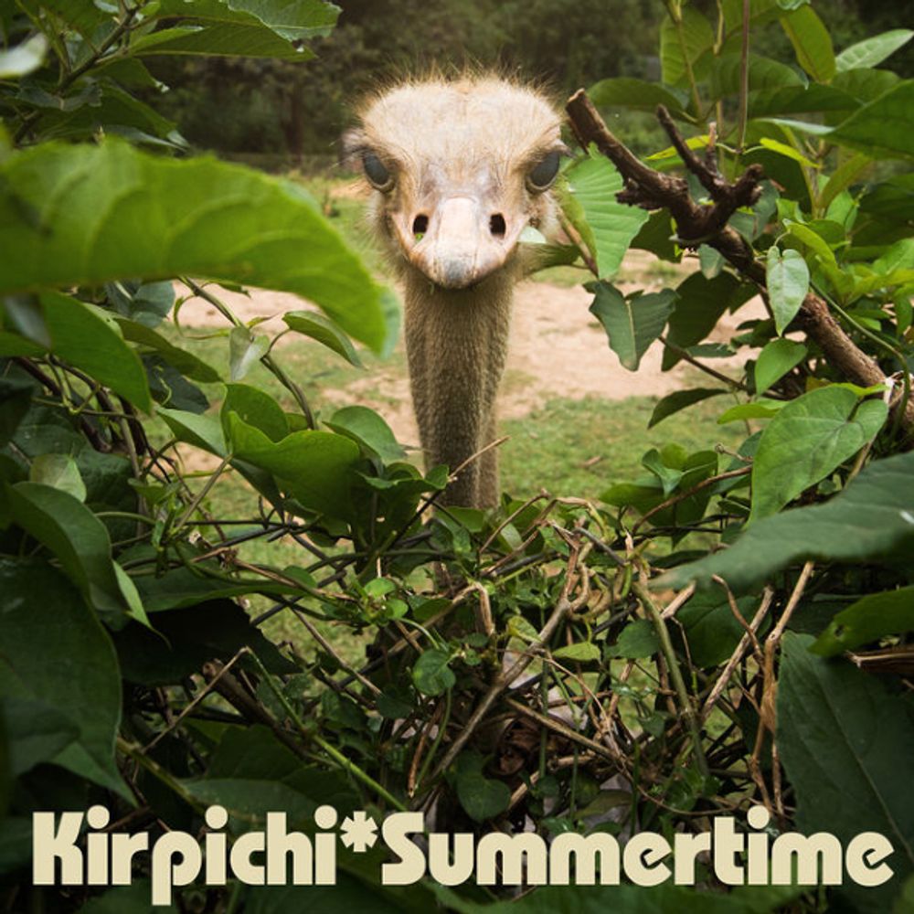 Кирпичи / Summertime (CD)