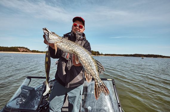 Виброхвосты LJ 3D BBS Series GIANT KUBIRA SWIM SHAD 10,3in (26,00)/PG26 1шт.+Stinger XL