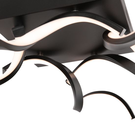 Потолочный светильник Freya FR6022CL-L50B