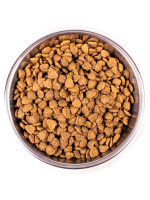 Сухой корм Monge Cat Daily Line Indoor для домашних кошек с курицей 400 г