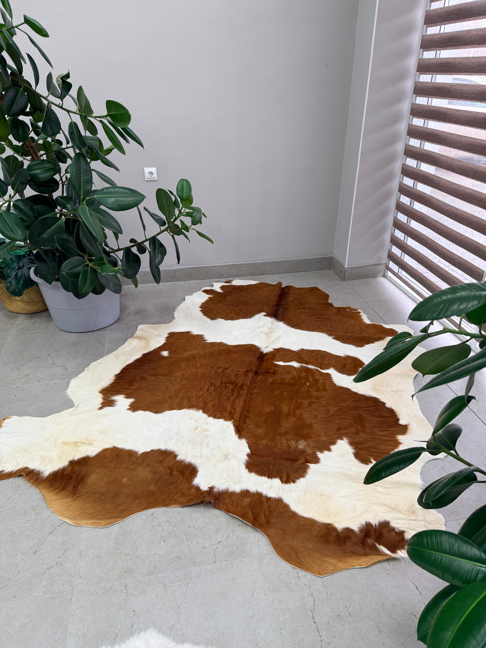 Коровья шкура на пол натуральная.