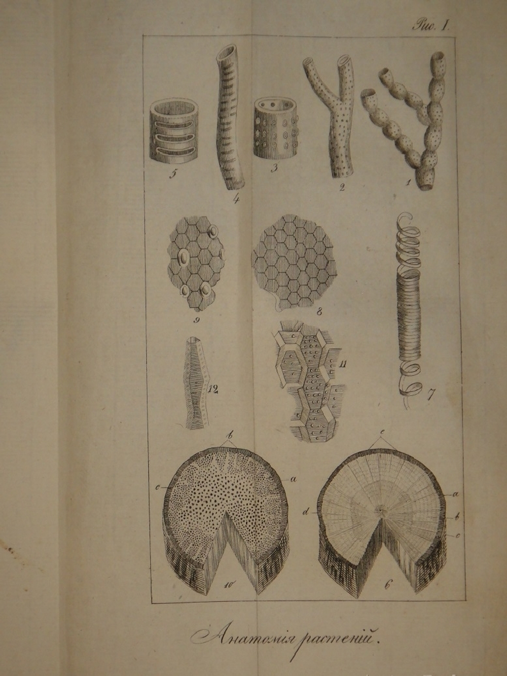 "Основание ботаники и физиологии растений. В 2-х частях". Сочинение А.Ришара. 1837г.