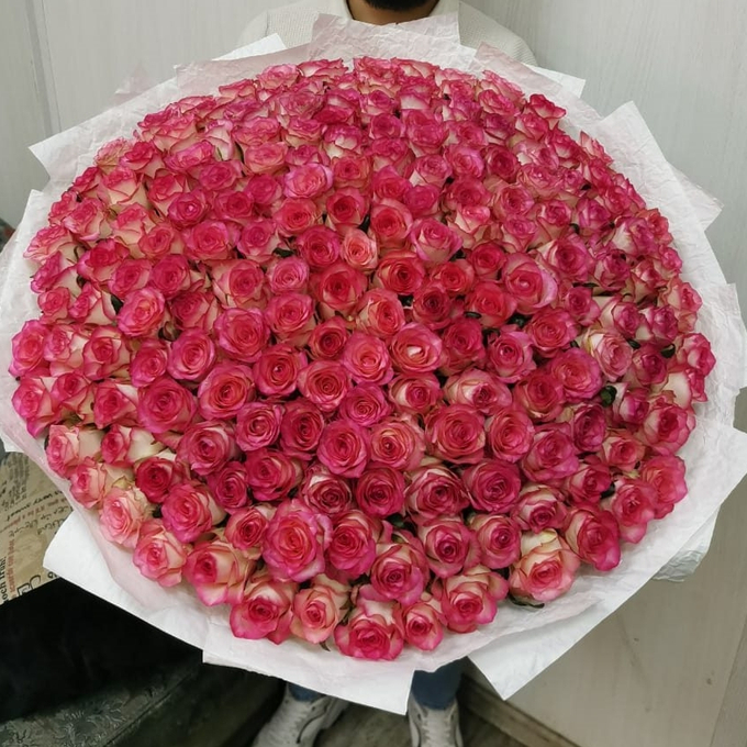 201 роза Бейби Лав