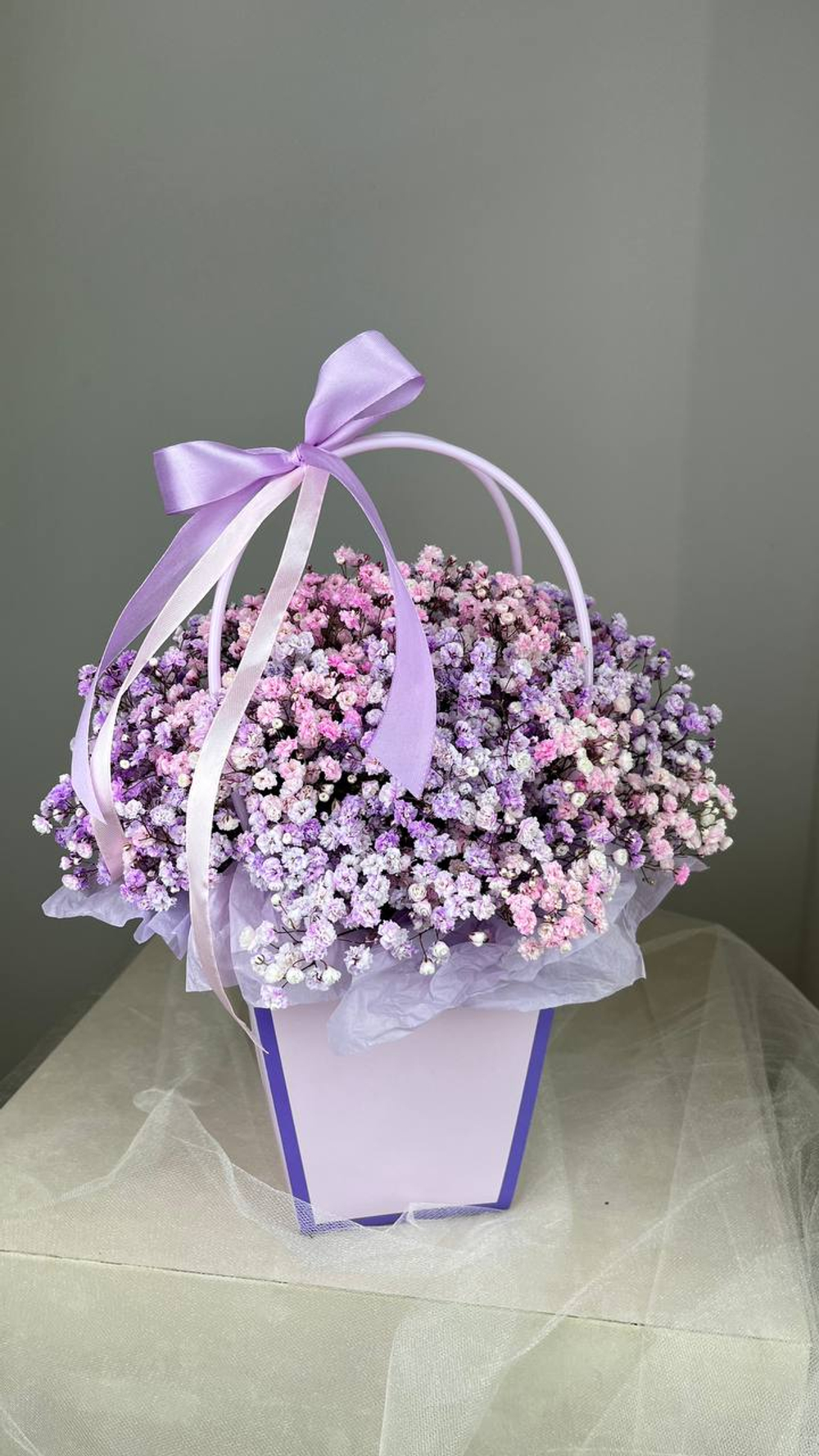 Купить гипсофилы Казань