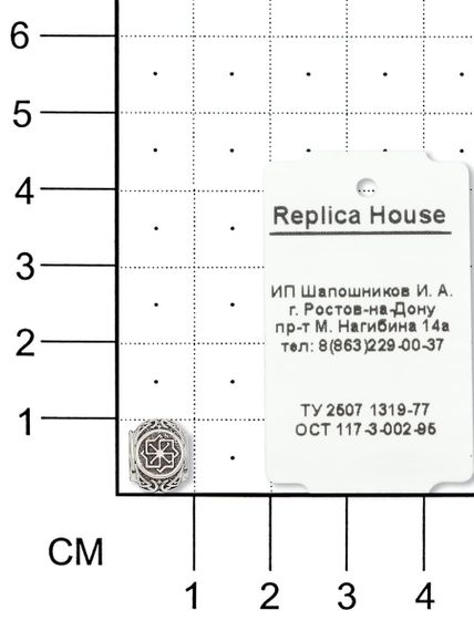 Фотография шарма Молвинец из серебра 925 пробы на размерной сетке.