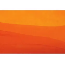 Чернила во флаконе Herbin Prestige 50 мл Orange soleil оранжевые (13157JT) 1