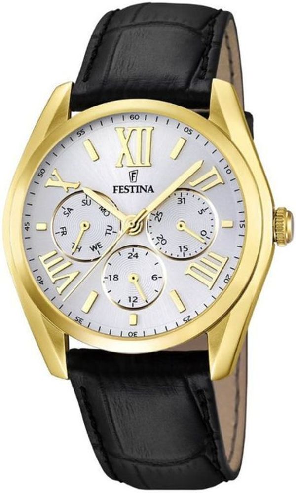 Мужские наручные часы Festina F16753/1