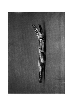 Нэцкэ. Миниатюрная японская скульптура. Открытки | Н. Каневская