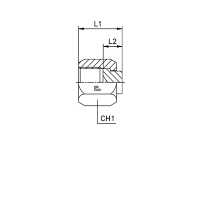 Заглушка V (Г) ORFS 1.11/16
