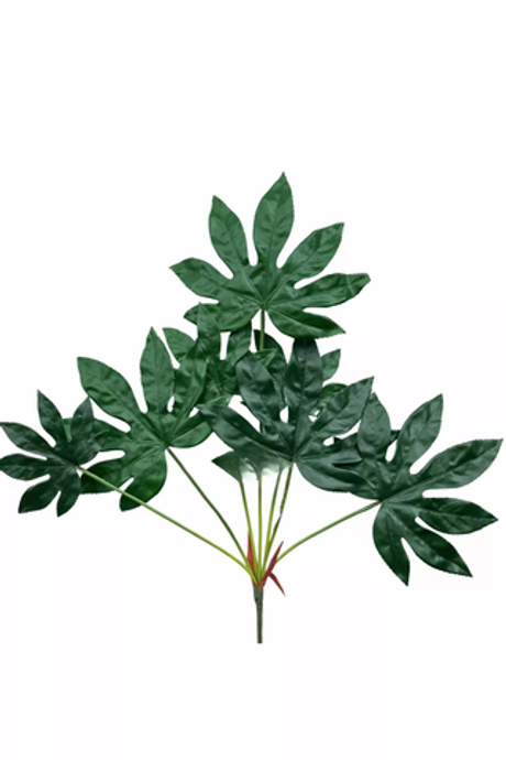 Куст Фатсии 7 листьев 79см