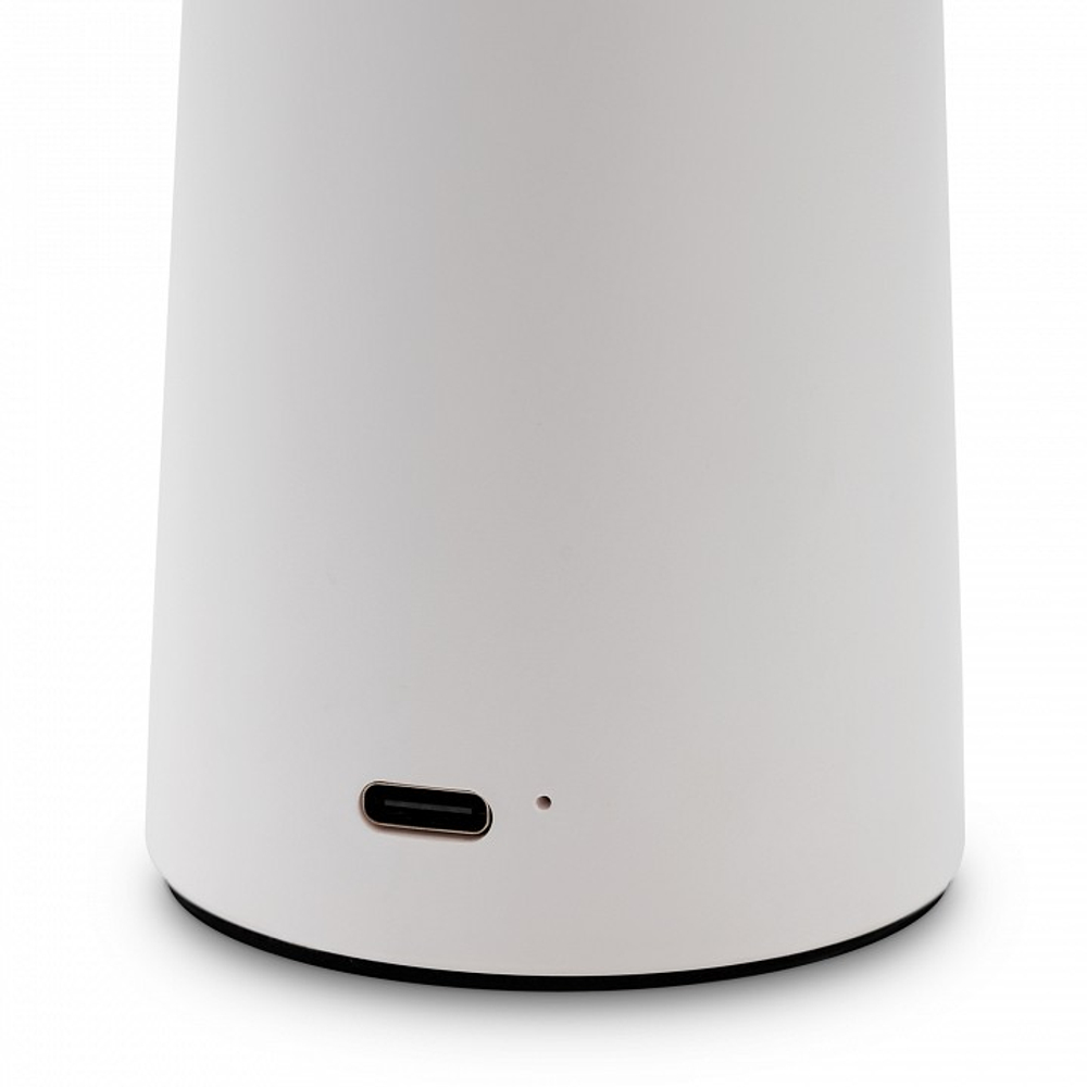 Настольная лампа декоративная Freya Mushroom FR6109TL-L4W