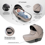 Коляска модульная 3в1 Molly Trio (Beige/Бежевый)