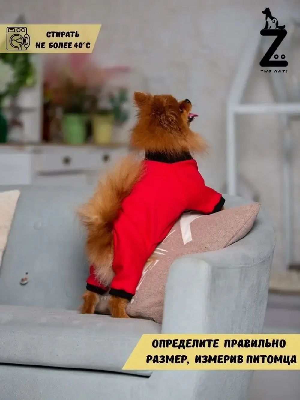 Комбинезон для собак кошек сфинкс кофта костюм для животных