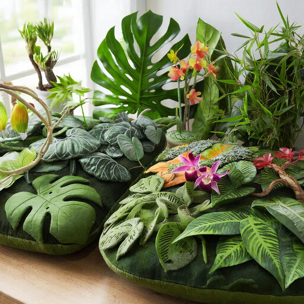 Растения - подушки