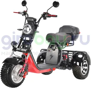 Электроскутер WHITE SIBERIA PRO TRIKE 3000W OFF-ROAD (Черный) фото №1