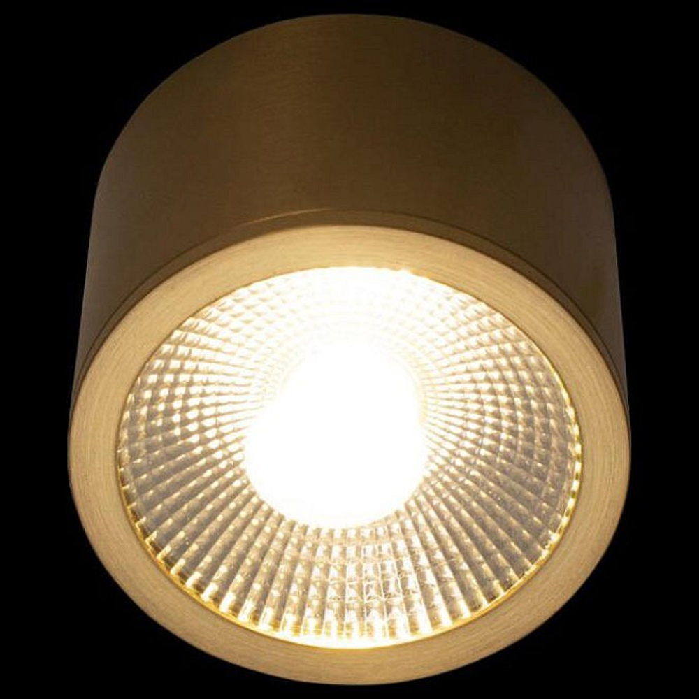Накладной светильник Loft it 10187/B