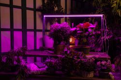 ULI-P21-24W-SPSB IP40 WHITE Светильник для растений светодиодный линейный. 872мм. выкл. на корпусе. Алюминий. Спектр для рассады и цветения. TM Uniel