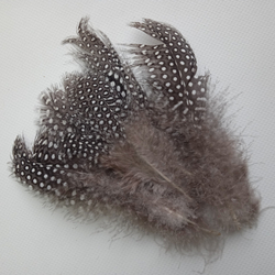 Перья цесарки натуральные 2 сорт 15 шт.