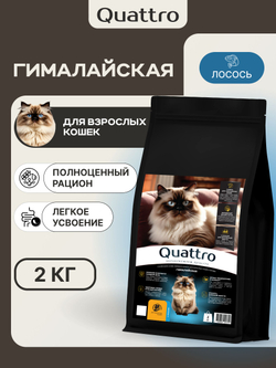Корм сухой для взрослых кошек породы Гималайская, с лососем, 2 кг, QUATTRO