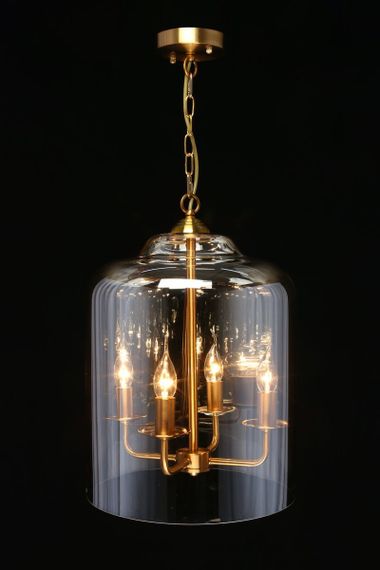 Подвесная люстра Aployt Polin APL.603.06.06