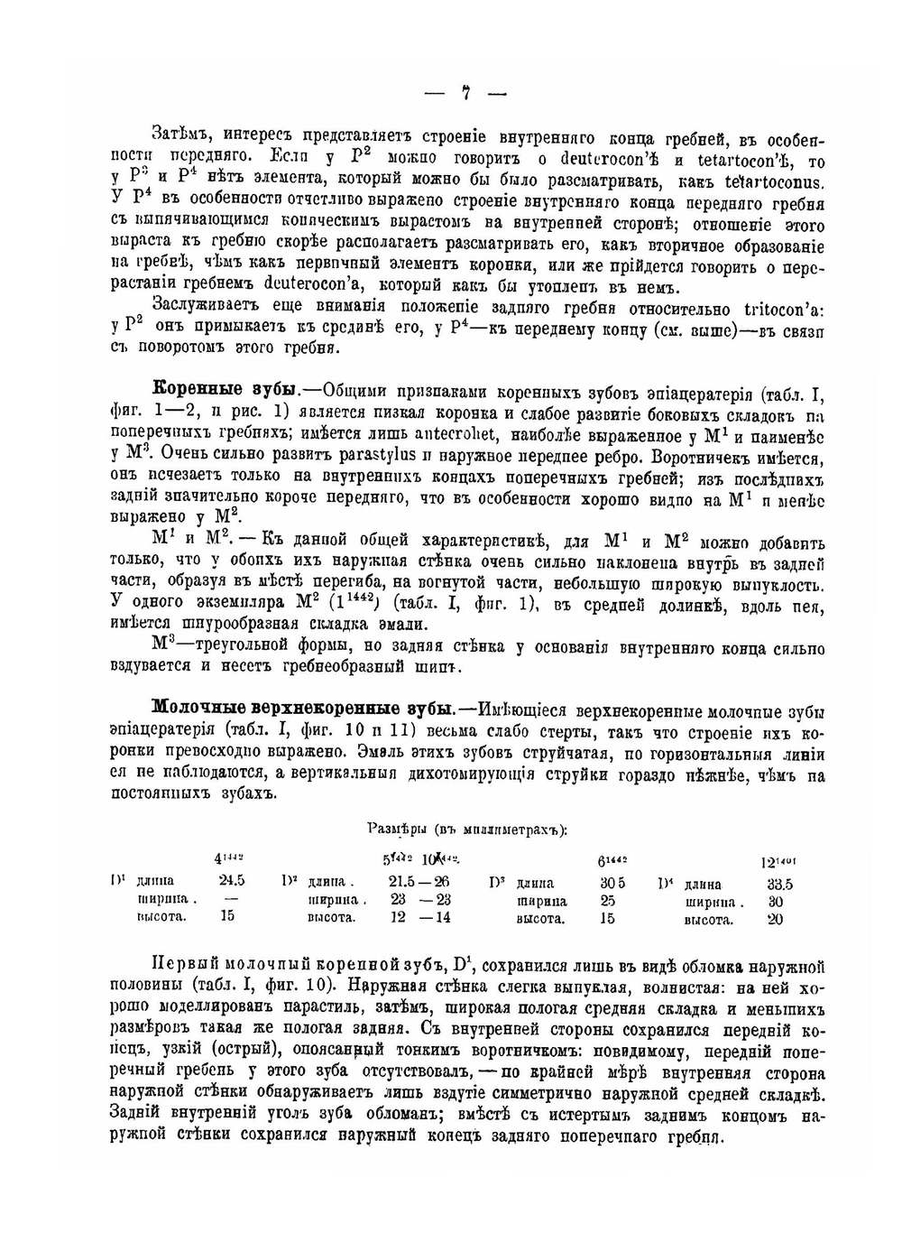 Остеология. Epiaceratherium turgaicum nov. sp | А. А. Борисяк