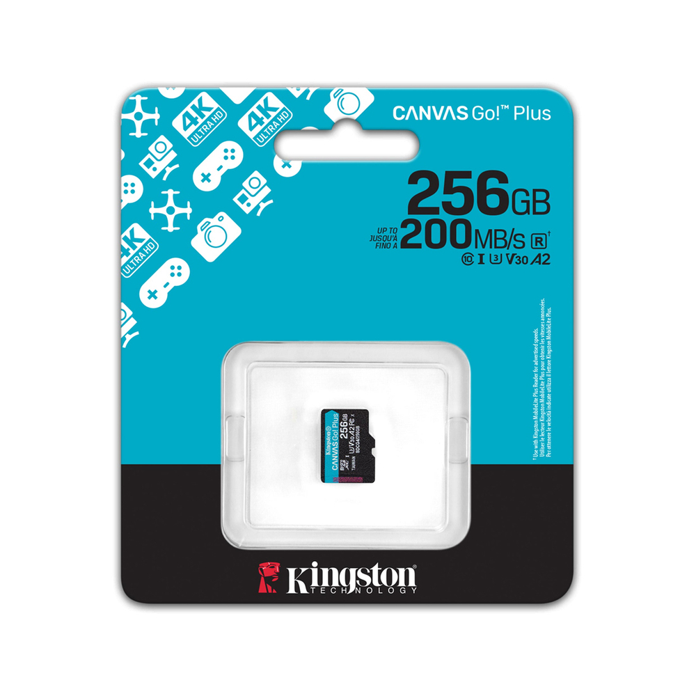 Карта памяти Kingston SDCG4/256GBSP Canvas Go Plus A2 U3 V30 256GB