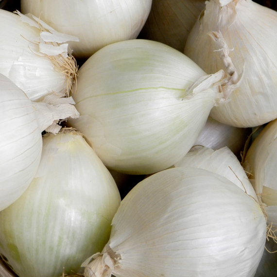 Стардаст семена лука репчатого (Bejo / Бейо) урожай – фото 2