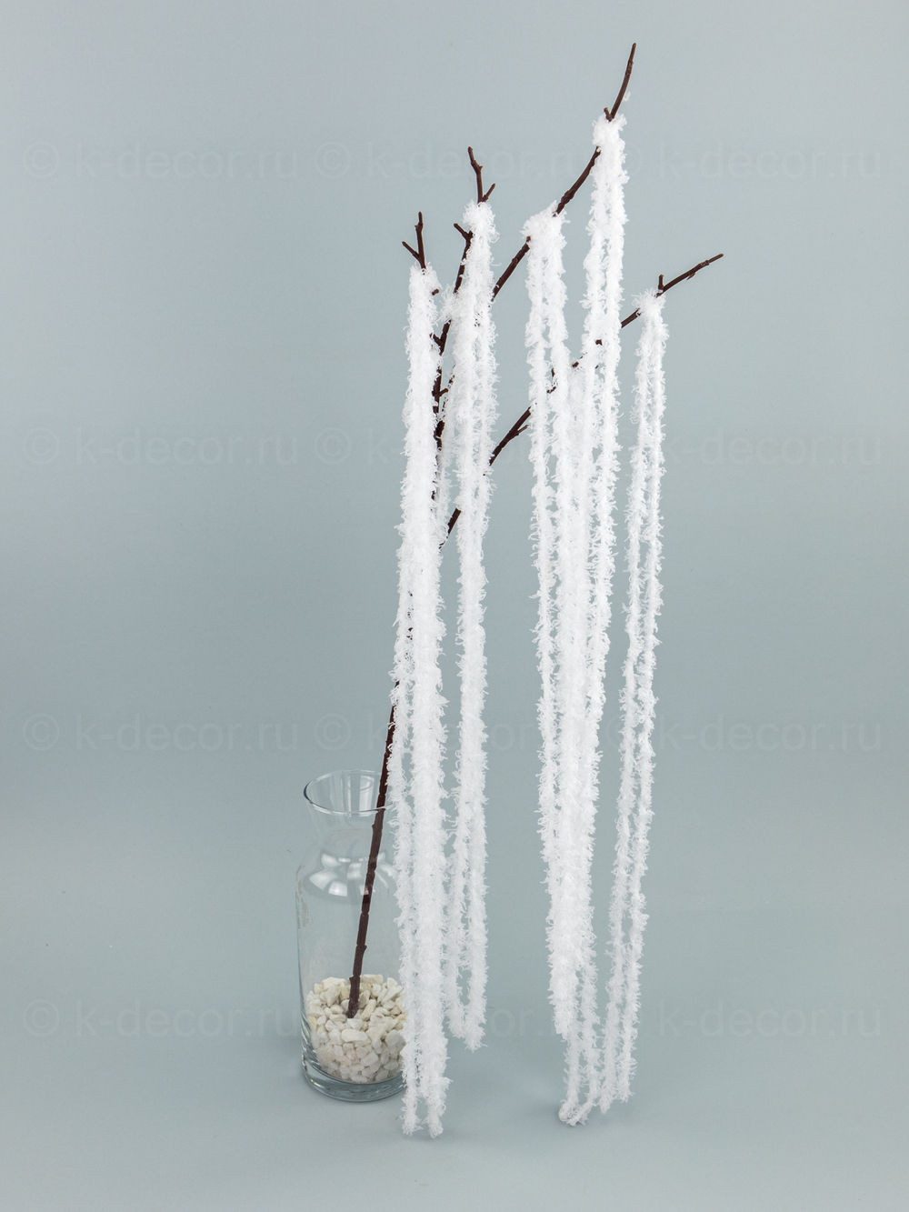 Водоросль ампельная на ветке