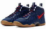 Кроссовки Nike Foamposite Pro (Женская размерная сетка)