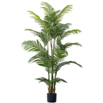 Пальма Дипсис 190 см.