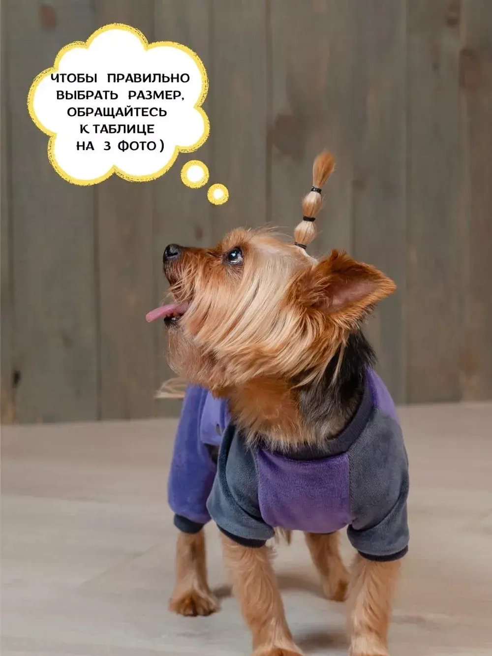 Комбинезон костюм для собак и кошек