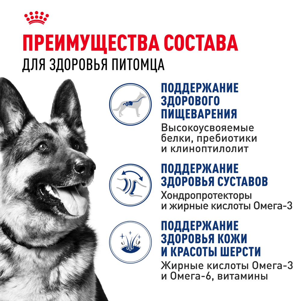 Royal Canin Maxi Adult Корм сухой для взрослых собак крупных размеров от 15 месяцев до 5 лет 15 кг