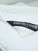 Демисезонное одеяло Roberto Cavalli 200х230