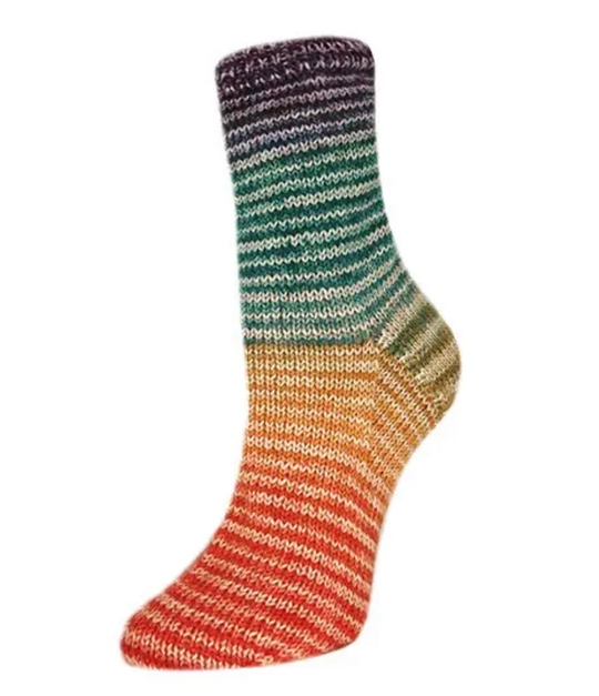 Пряжа Rellana Flotte Socke 4f. Perfect Rainbow (3125)