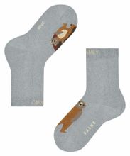 Носки Bear Family FALKE 10463/3355