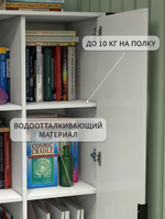 Шкаф распашной двухдверный с полками в прихожую для одежды Кодар