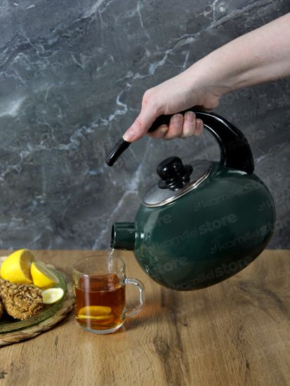 Чайник 2,5 л. эмалированный со свистком Kamille KM 1039D с черной бакелитовой ручкой