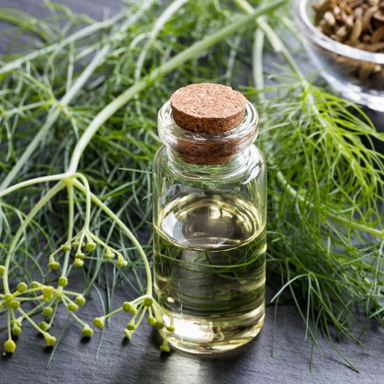 Эфирное масло Укроп. 10 мл.