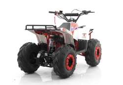 Квадроцикл MOTAX GRIZLIK A110
